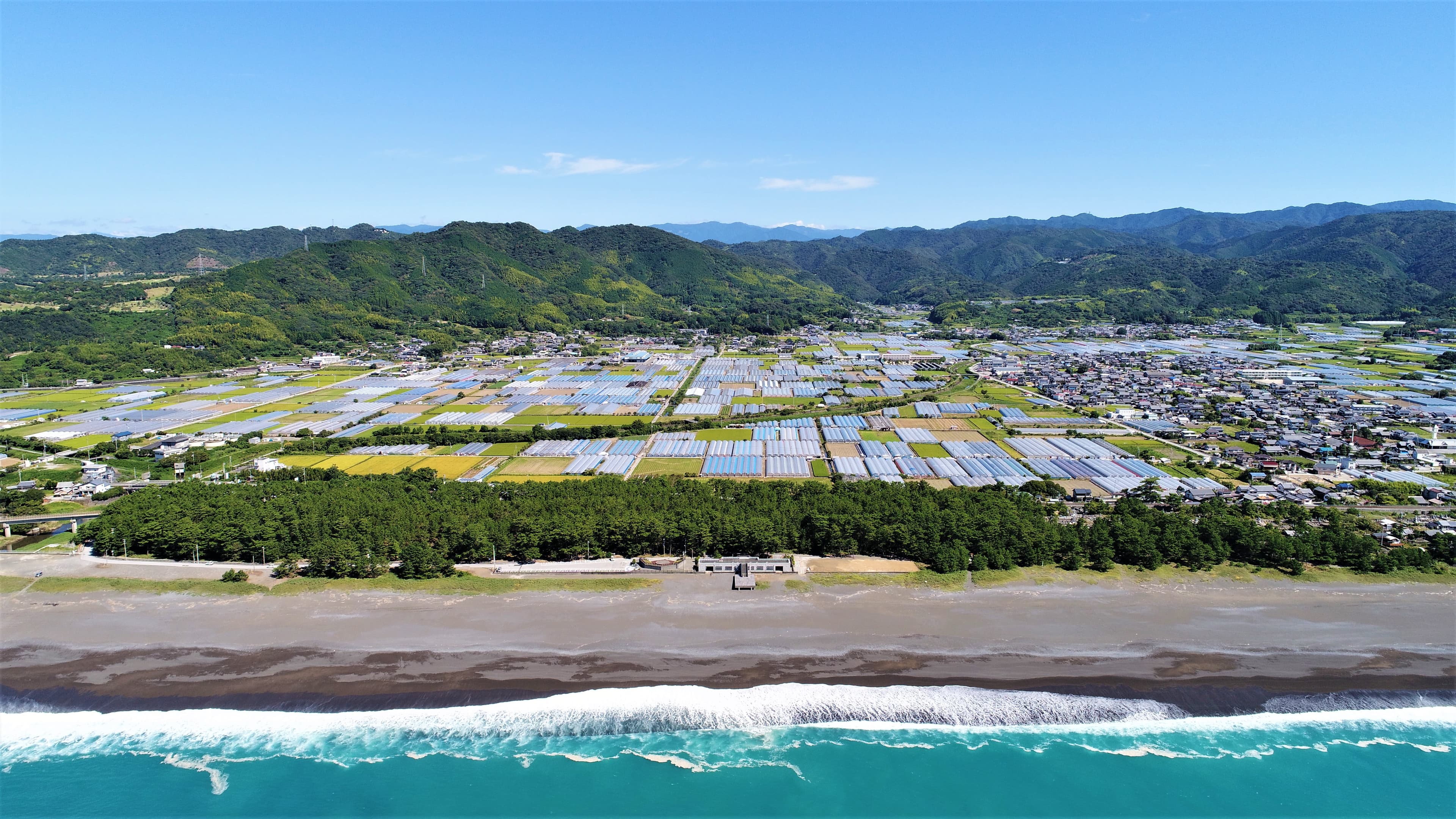 園芸と挑戦が紡ぐ未来創造の村・芸西