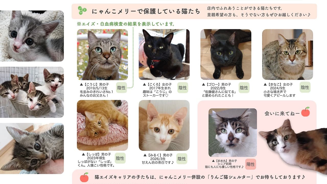 取り組みの成果・反響