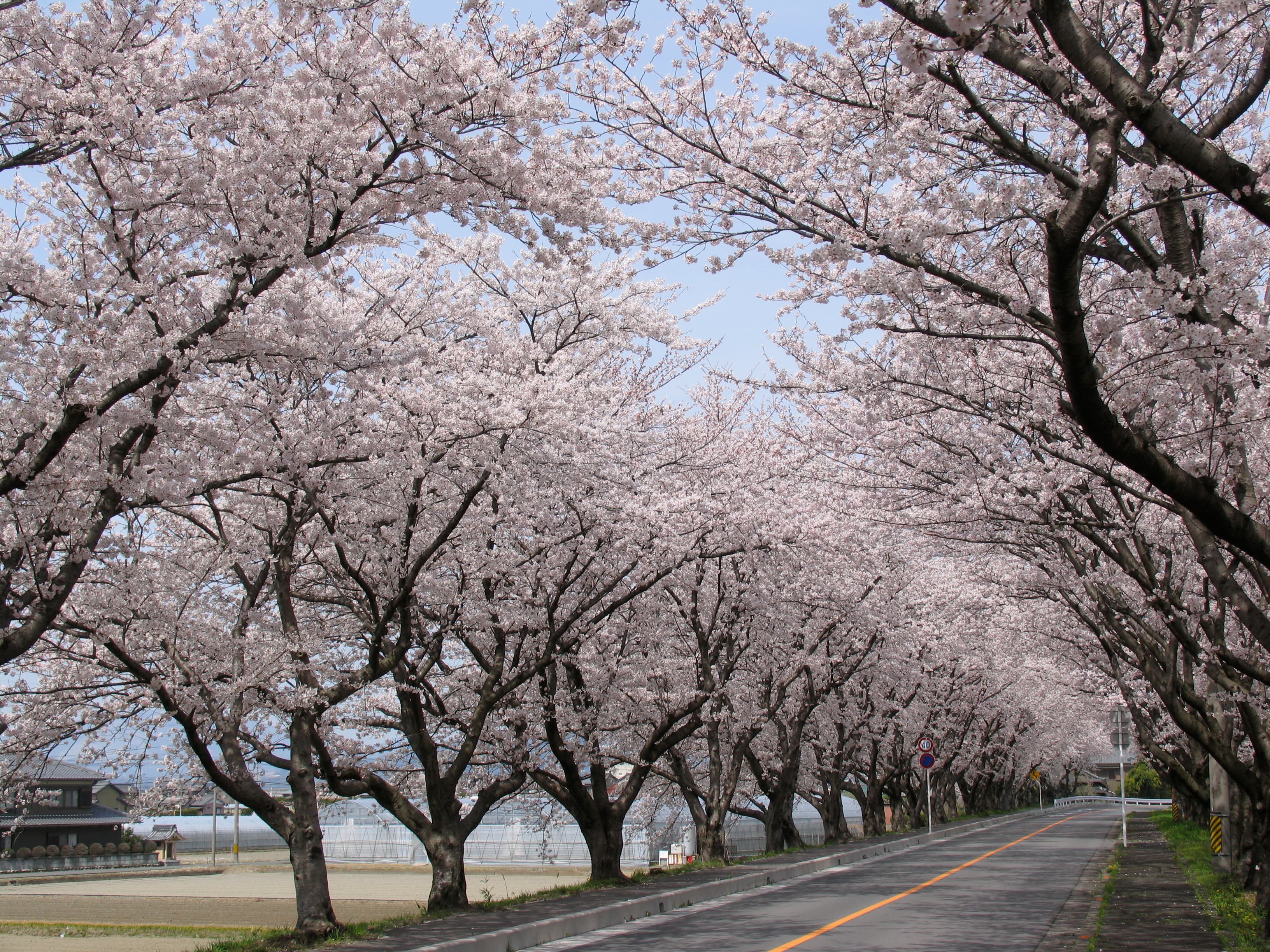 木曽岬町