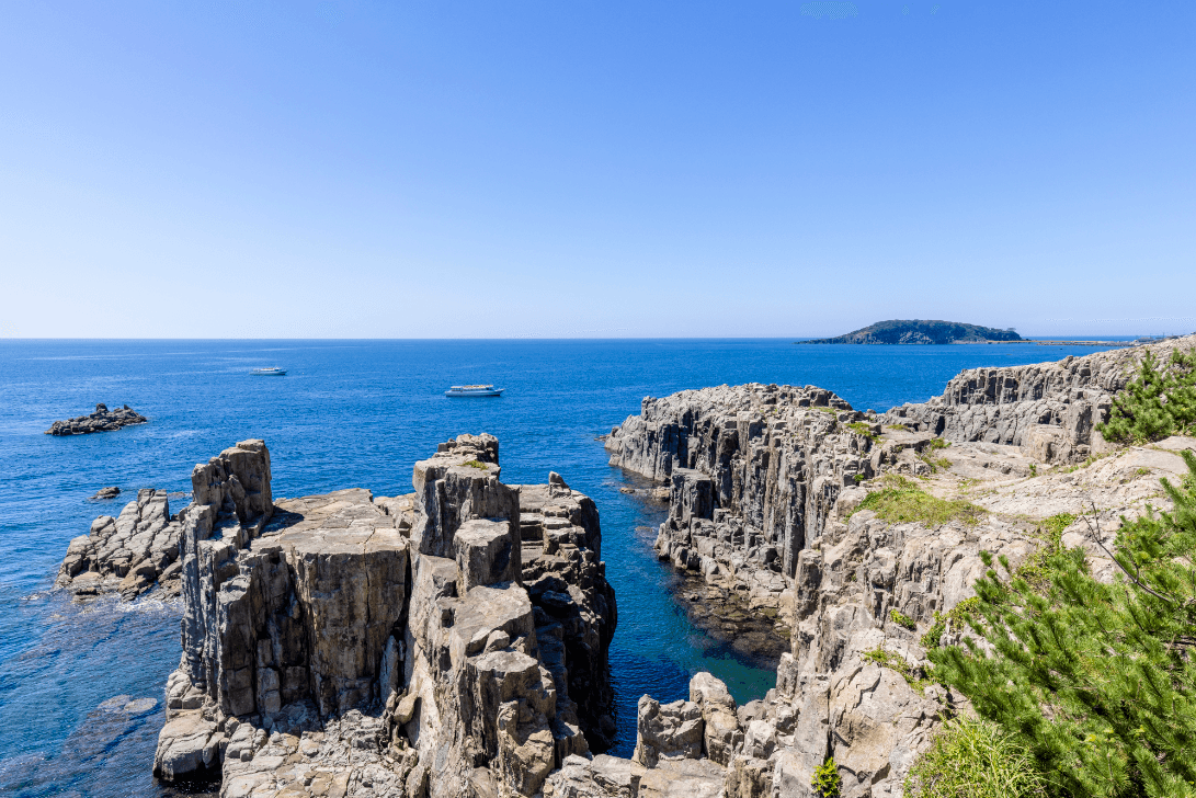 坂井市