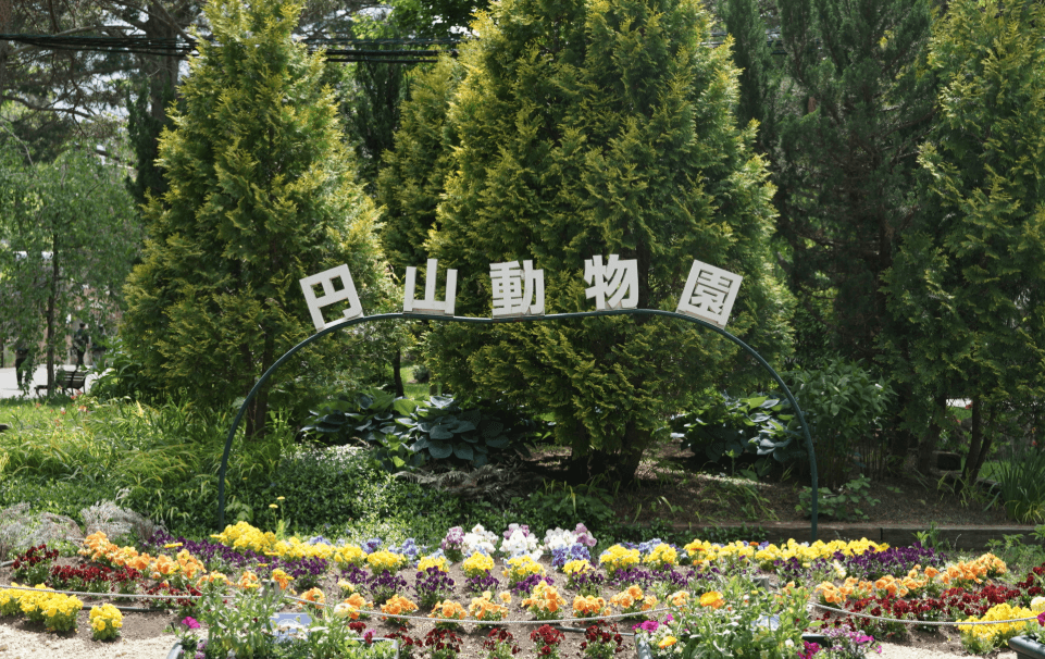 未来への想い・伝えたいこと