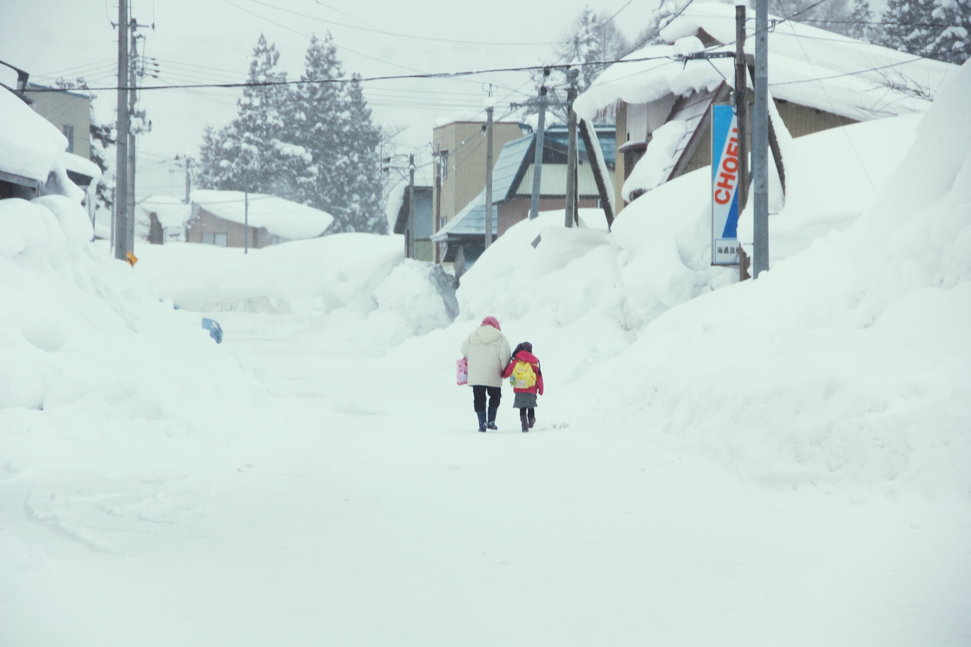 取り組みの背景