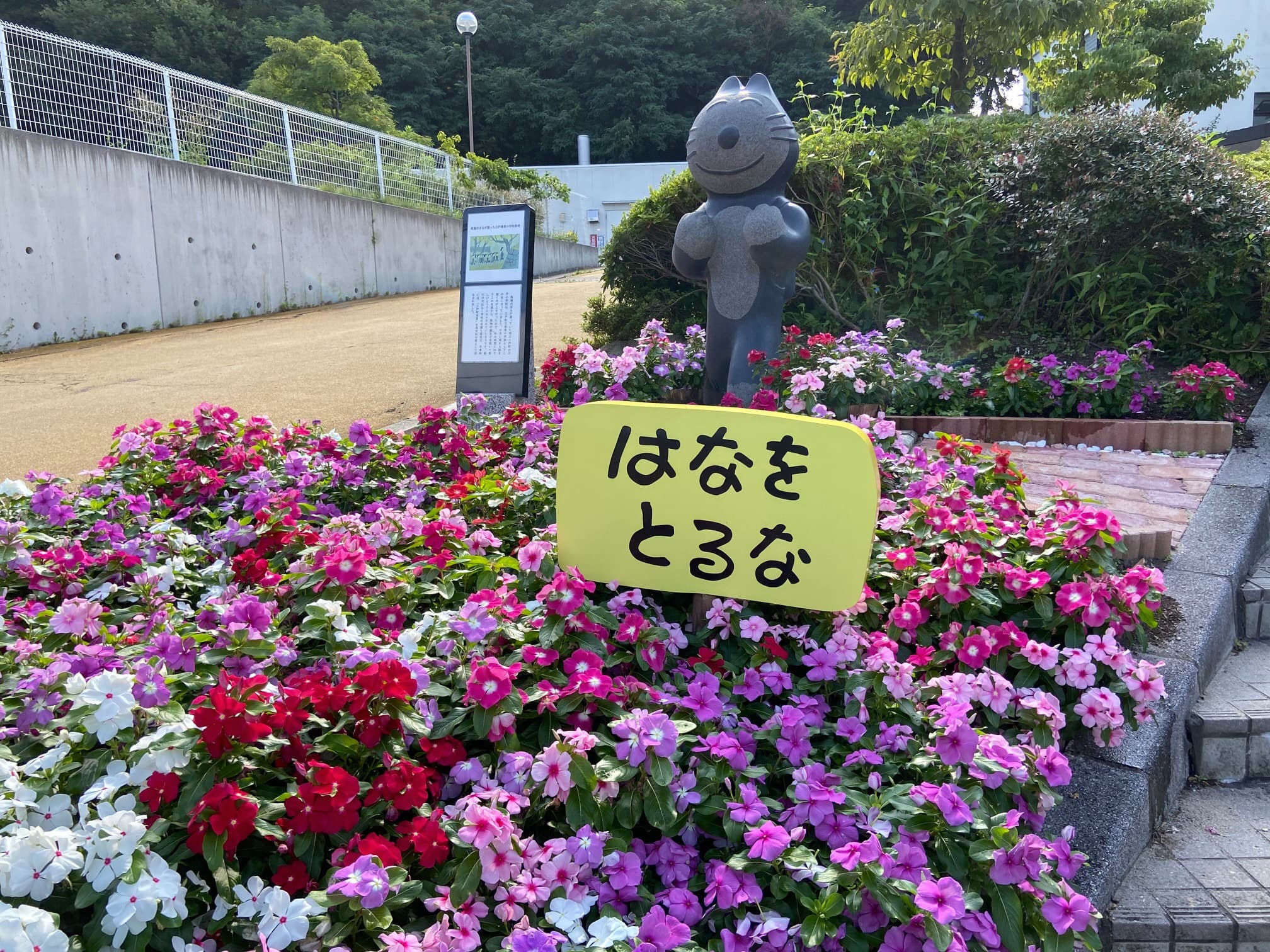 取り組みの背景