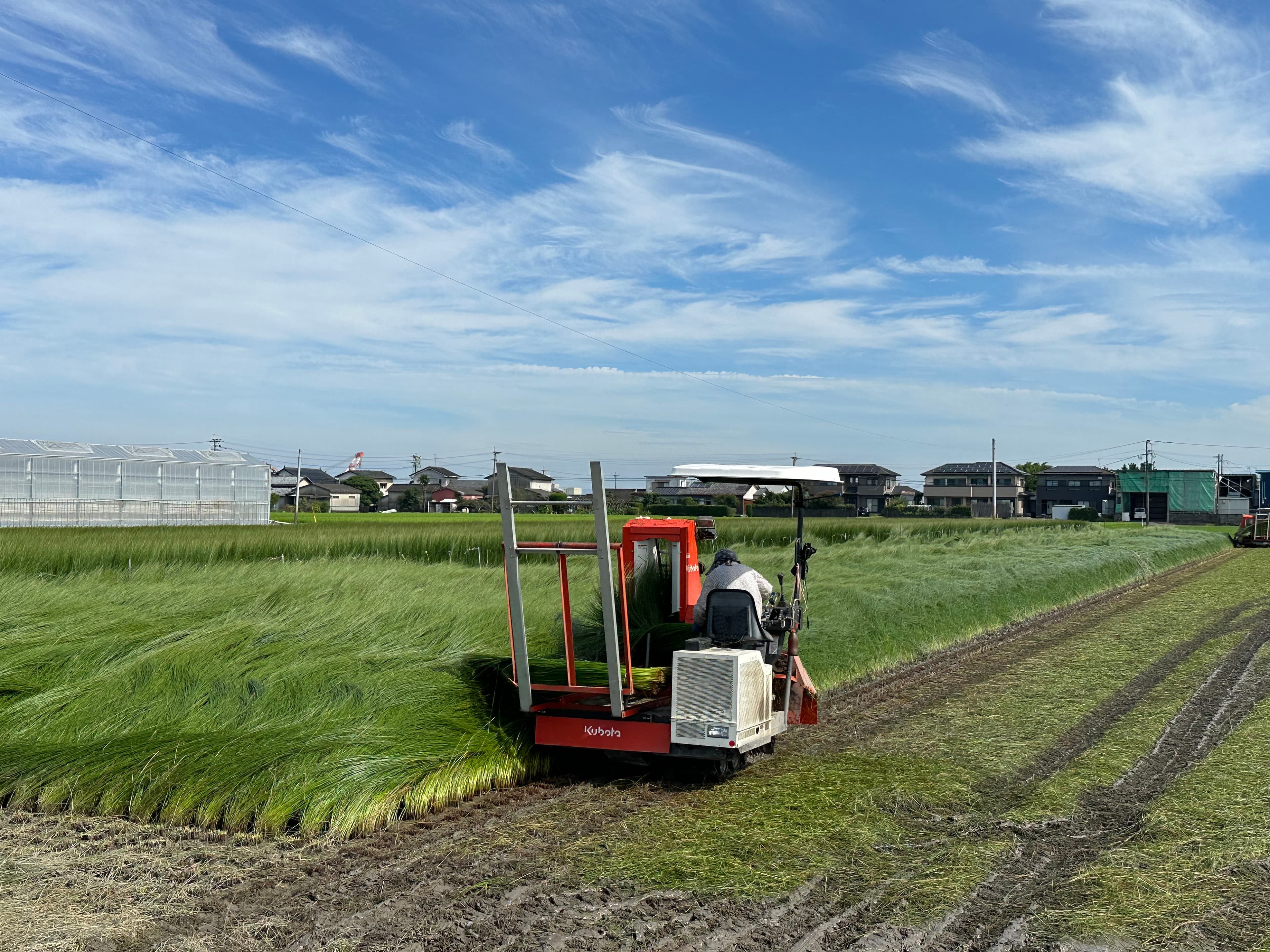 国産いぐさの灯を守れ！　古い専用機械を修理し、産地の再生へ