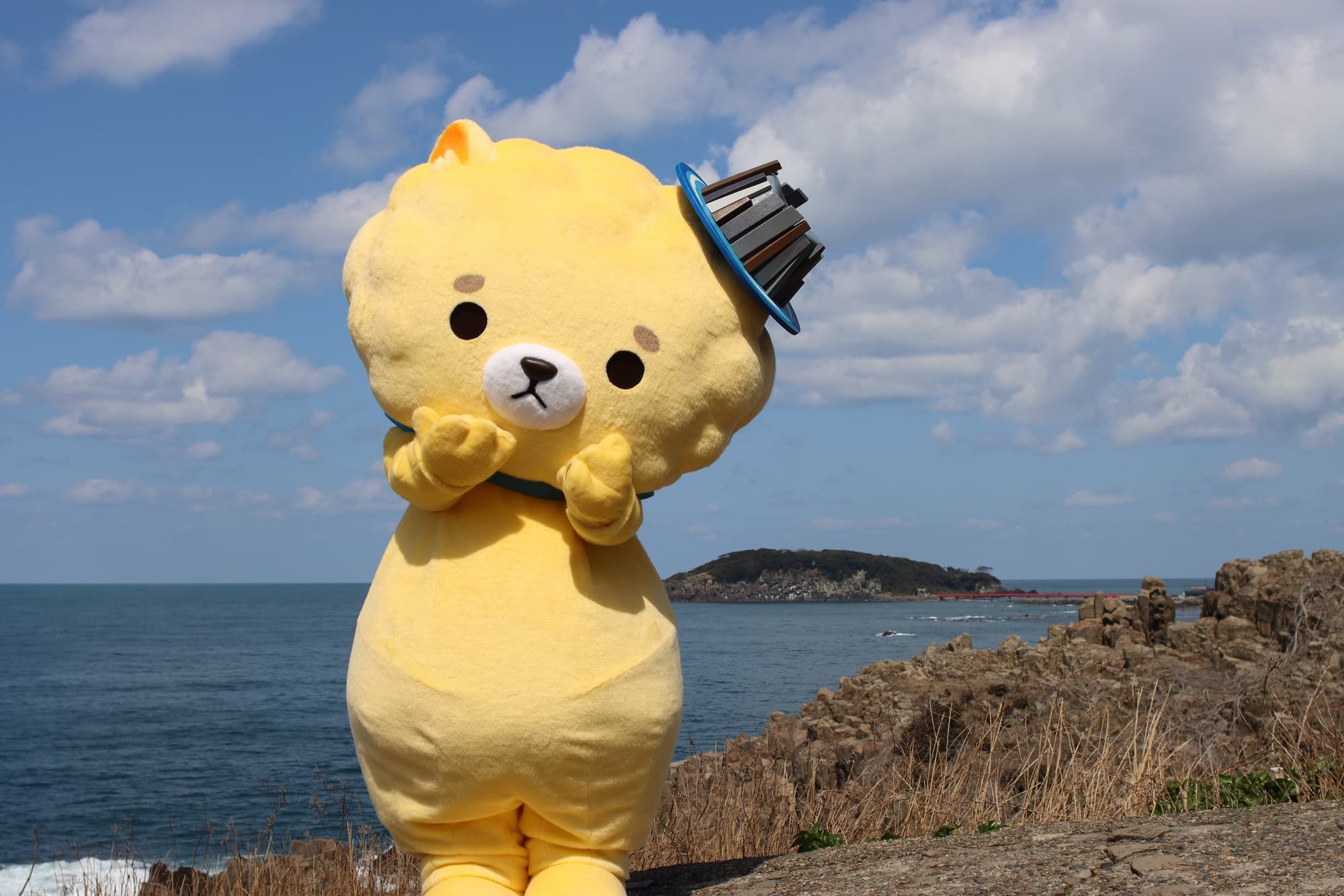 取り組みの成果・反響