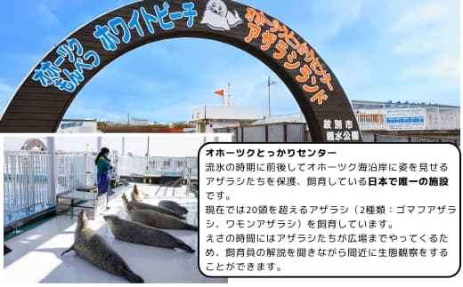 取り組みの成果・反響