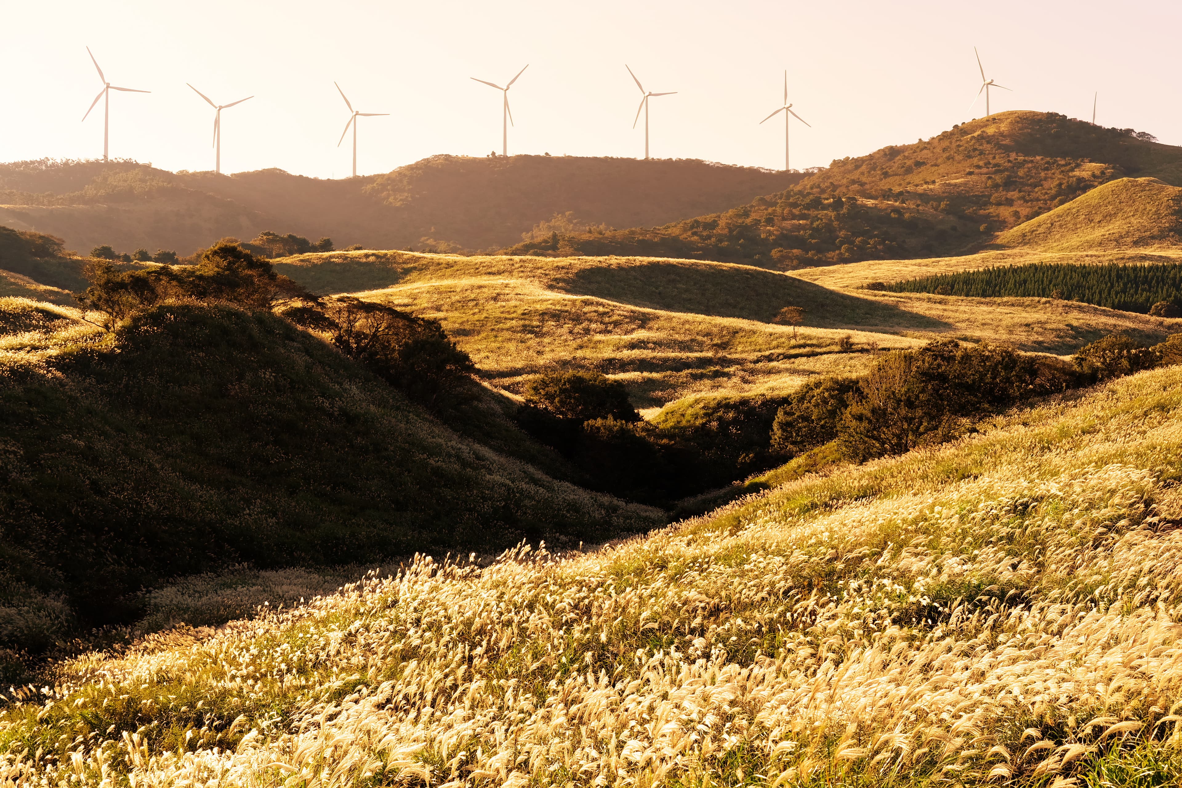 みらいに残したい草原の里　～稲取細野高原～