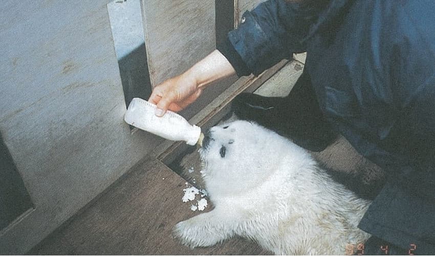 取り組みの背景