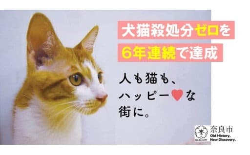 動物愛護事業 【犬猫殺処分ZEROプロジェクト】