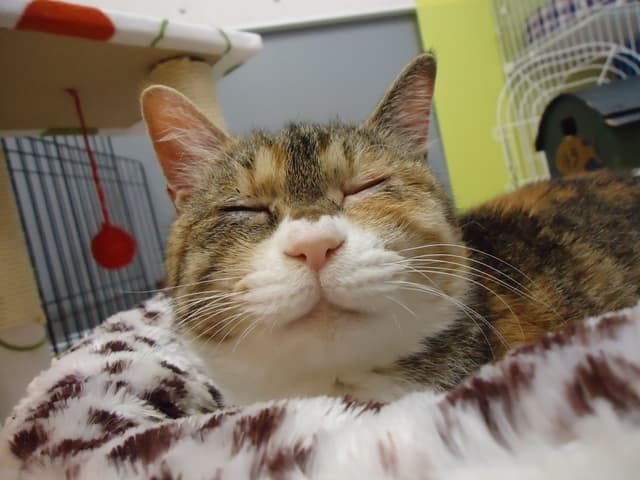 未来への想い・伝えたいこと