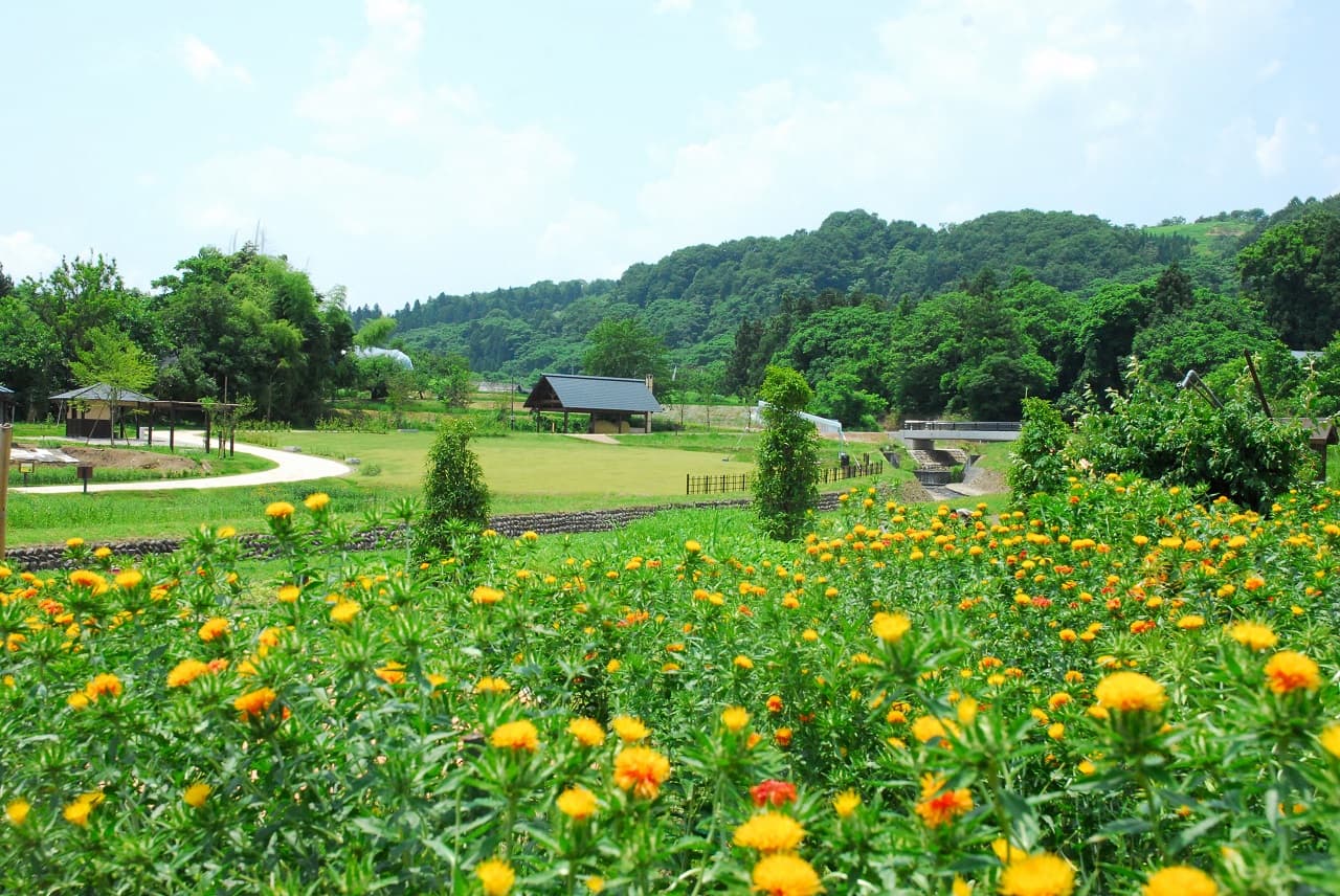 河北町