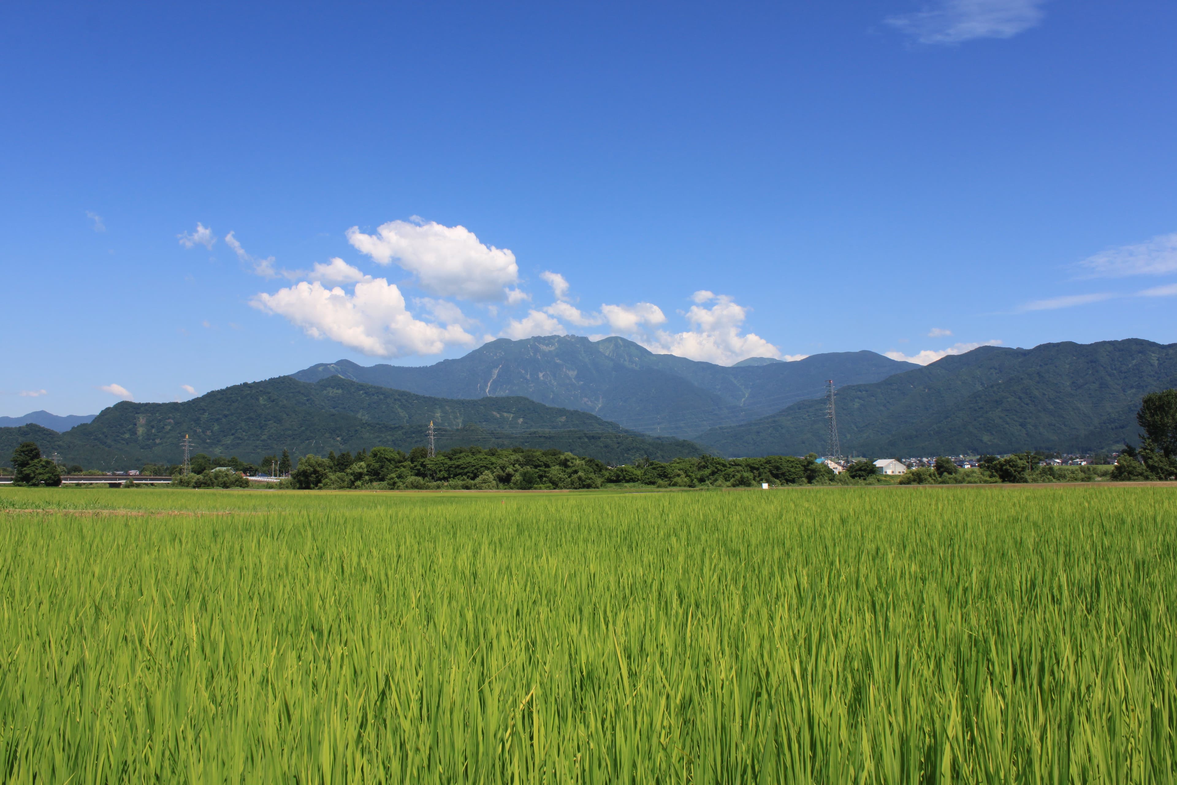 取り組みの背景