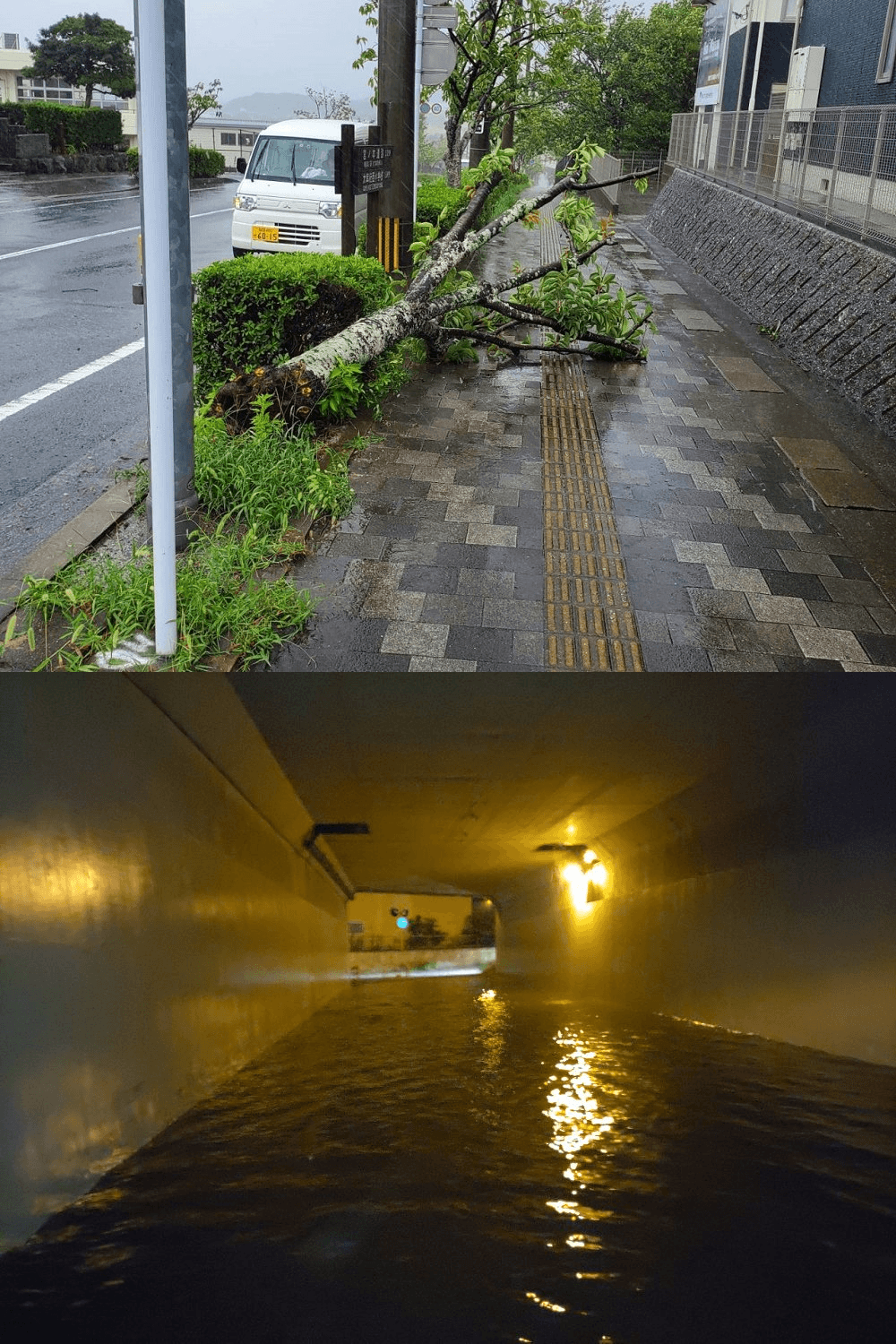 取り組みの背景