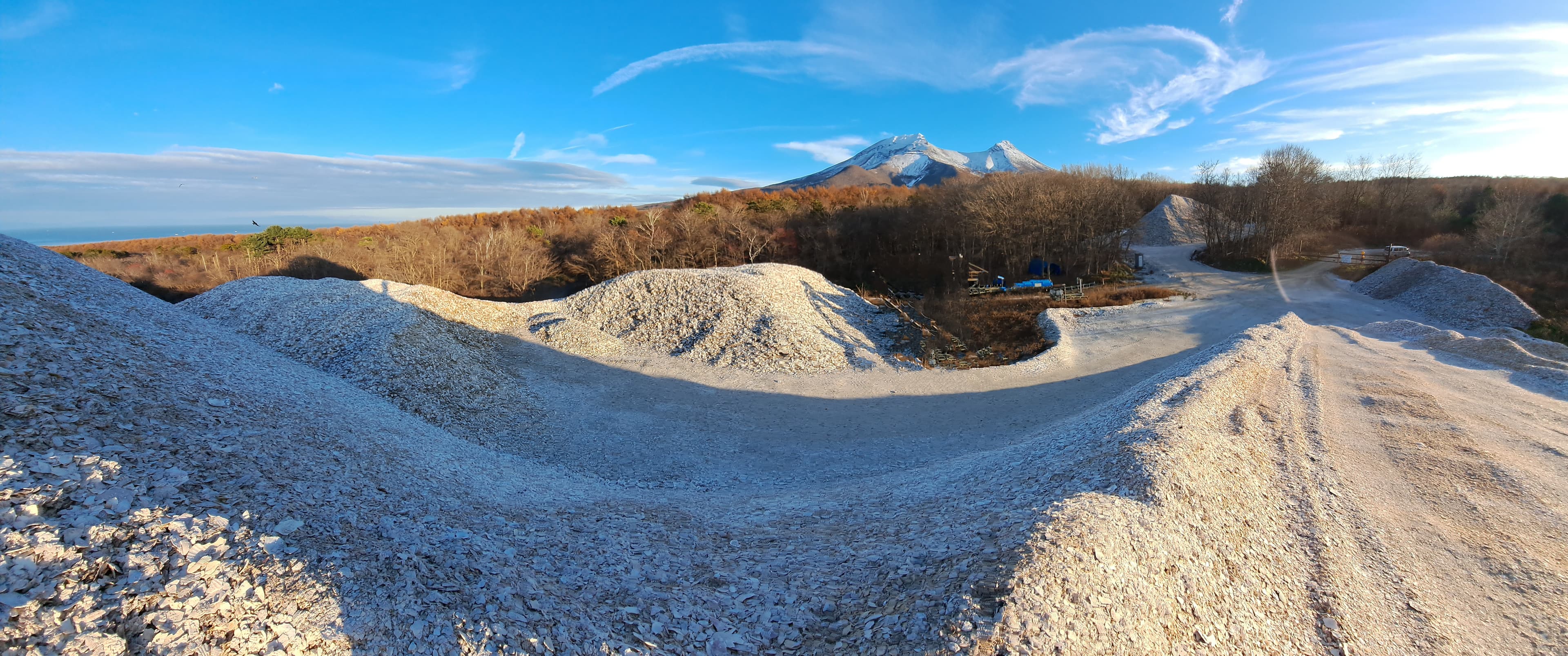 取り組みの背景