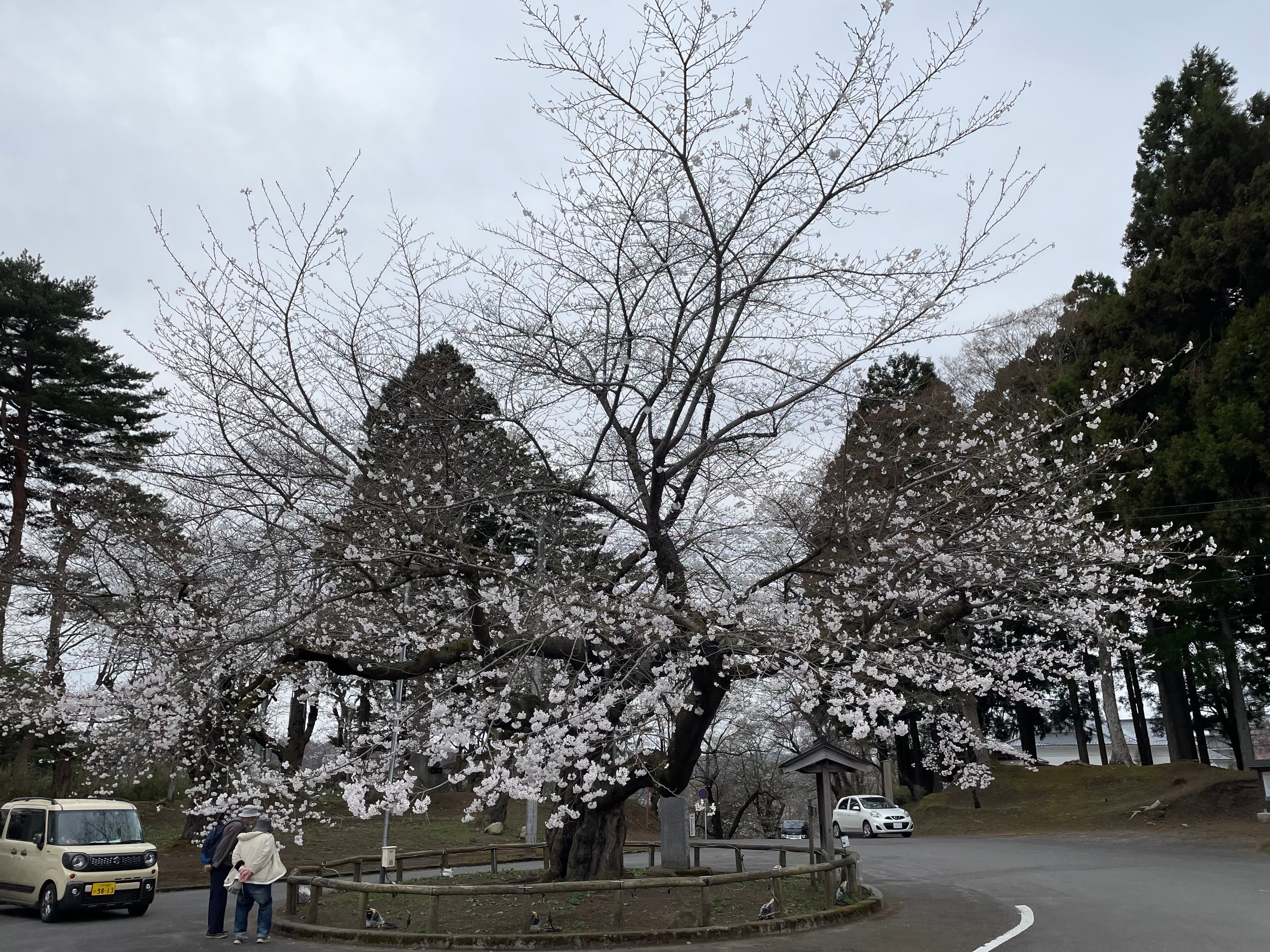 取り組みの背景