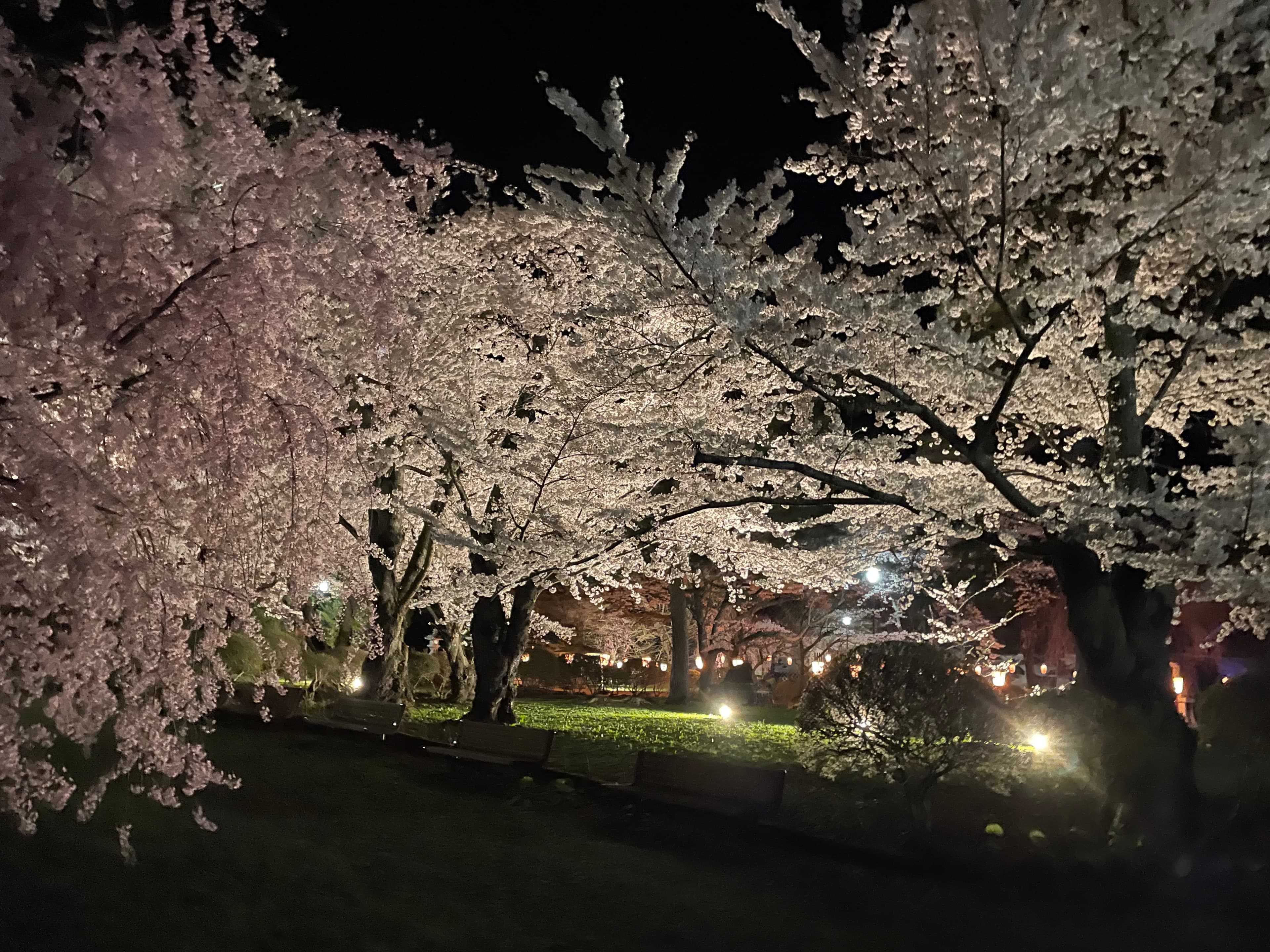 未来への想い・伝えたいこと